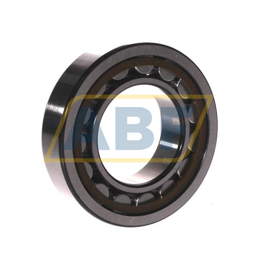 NU209ECP/C3 SKF