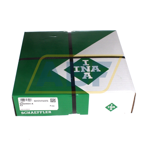 SL024934-A-C3 INA