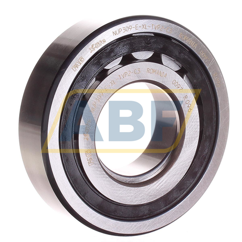 NUP309-E-XL-TVP2-C3 FAG