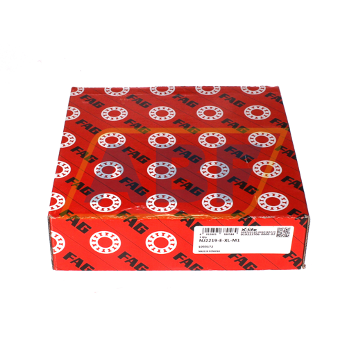 NJ2219-E-XL-M1 FAG