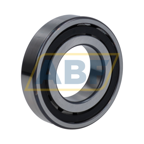 20208TN9 SKF