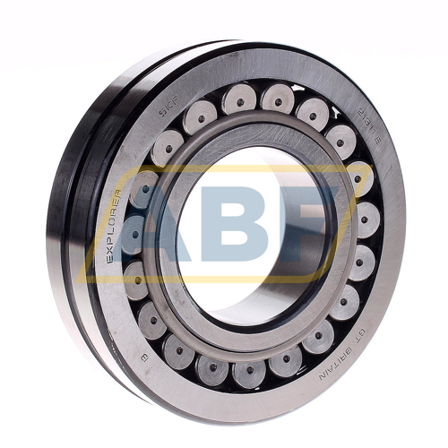 21311E SKF