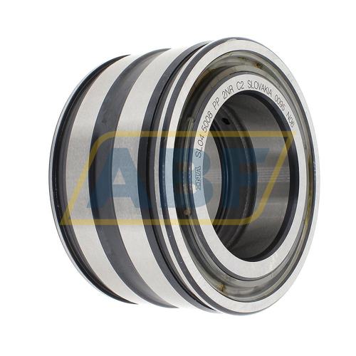 SL045008-PP-2NR-C2 INA