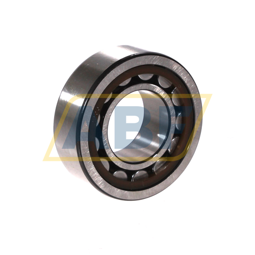 NJ2206ECP/C4 SKF