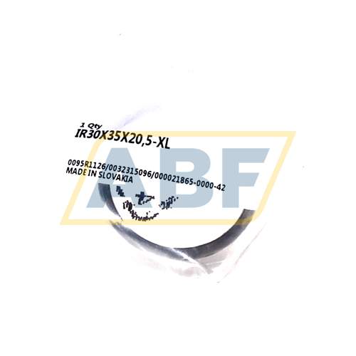 IR30X35X20,5-XL INA