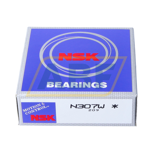 N307W NSK