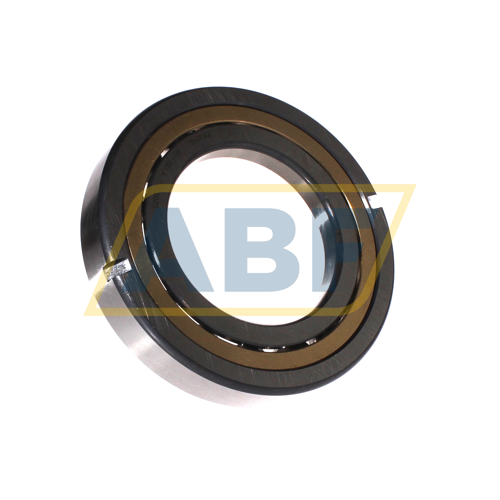 QJ217-XL-N2-MPA-T42F FAG