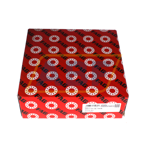 22317-E1-XL-T41D FAG