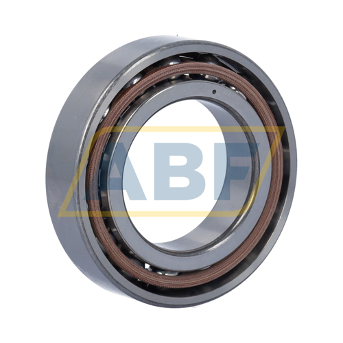 B7007-C-T-P4S-UL FAG