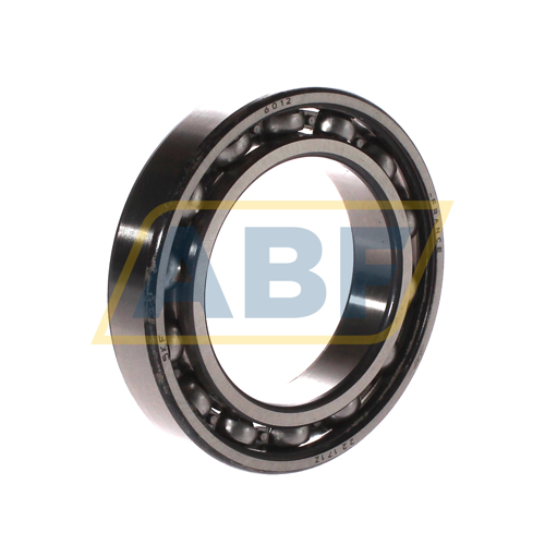 6012 SKF