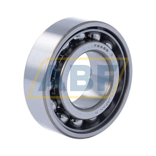 7205BWG NSK
