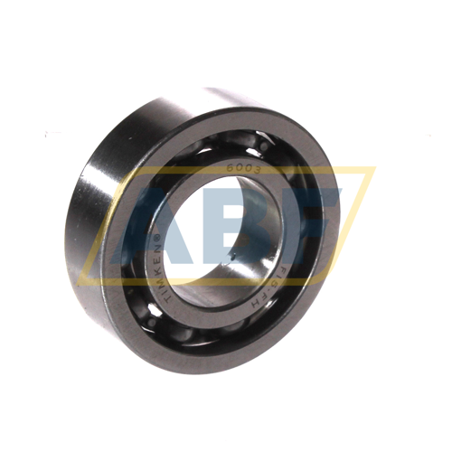 6003 Timken