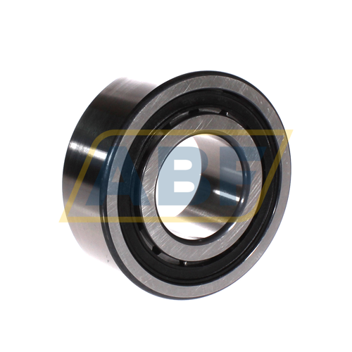 NJ2313-E-XL-TVP2-QP51-C4 FAG