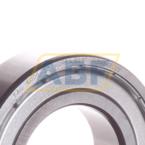 6005-2Z FAG