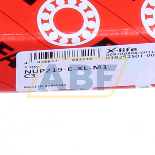 NUP219-E-XL-M1-C3 FAG