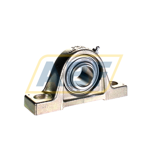 RASE30-XL-N-FA125 INA