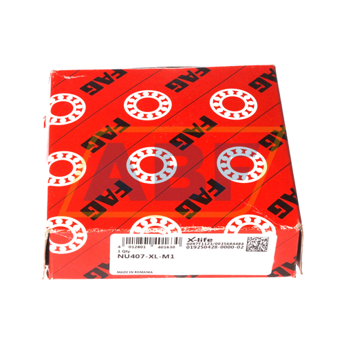 NU407-XL-M1 FAG