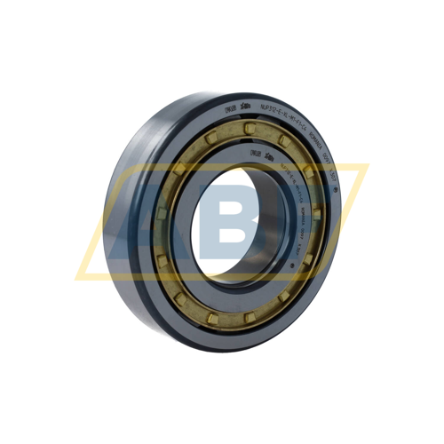 NUP312-E-XL-M1-F1-C4 FAG