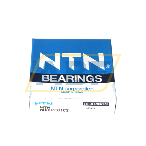 NU307E G1 C3 NTN