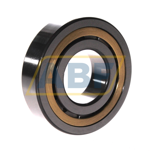 NJ309-E-XL-MPAX-C3 FAG