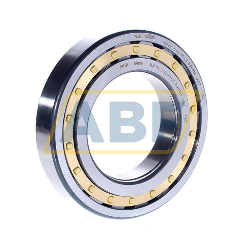 NUP216-E-XL-M1-C3 FAG