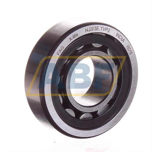NJ203E.TVP2 FAG