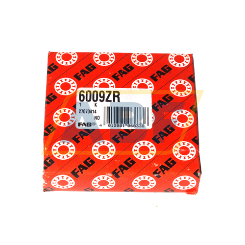 6009ZR FAG