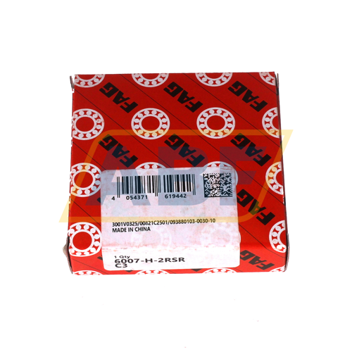 6007-H-2RSR-C3 FAG