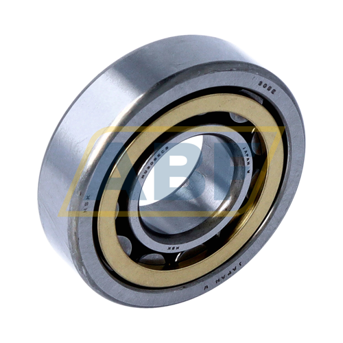 NU305EMC3 NSK