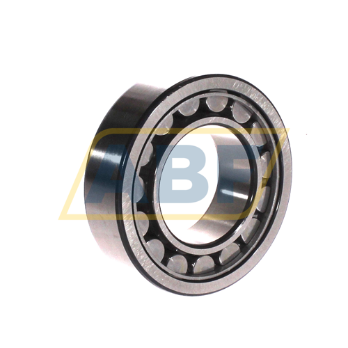 NU2209ECJ/VS003 SKF