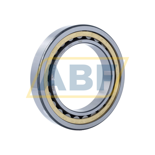 NJ1022-XL-M1A-C3 FAG