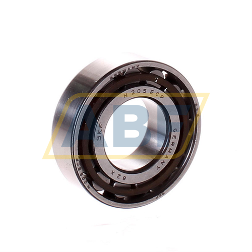 N205ECP SKF