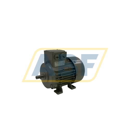 1LE1002-0CB22-2AA4 Siemens