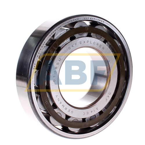 N314ECP SKF