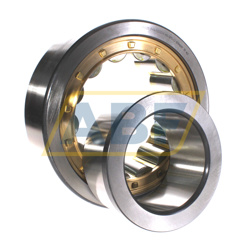 NJ2322-E-M1A-QP51-C3 FAG