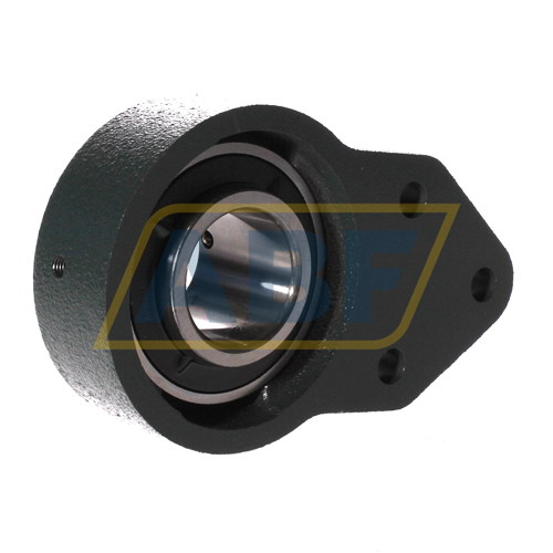 UCFH207D1 NSK