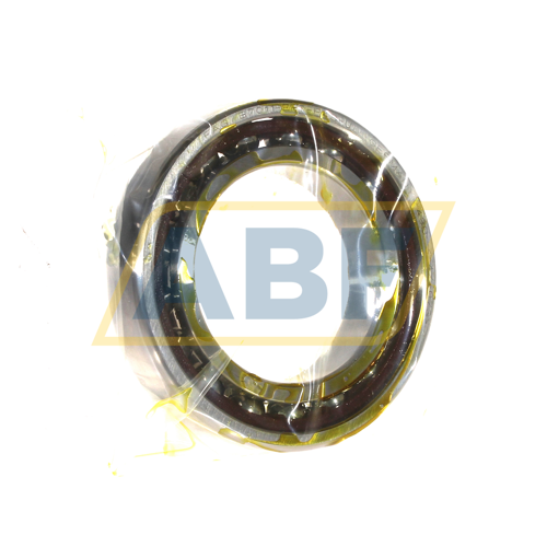 B7011-E-T-P4S-UL FAG