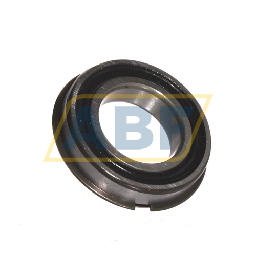 6007-2RS1NR SKF