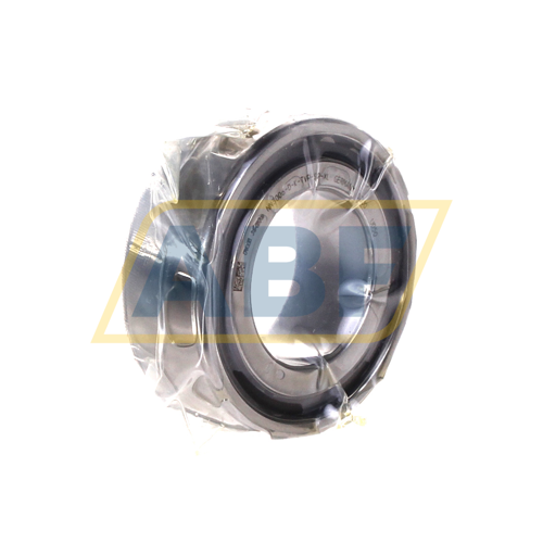 NN3009-D-K-TVP-SP-XL FAG