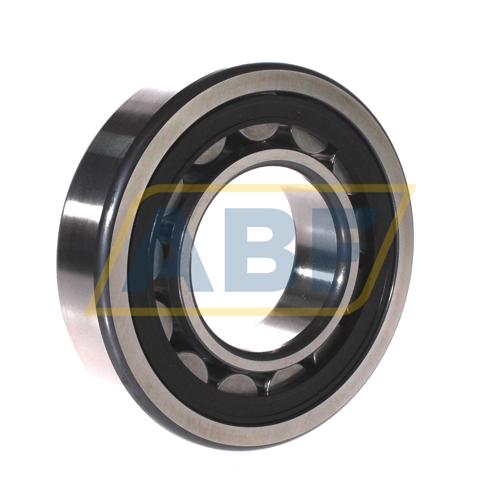 NU313-E-XL-TVP2-QP FAG