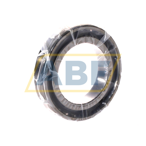 N1012-D-K-TVP-SP-XL FAG