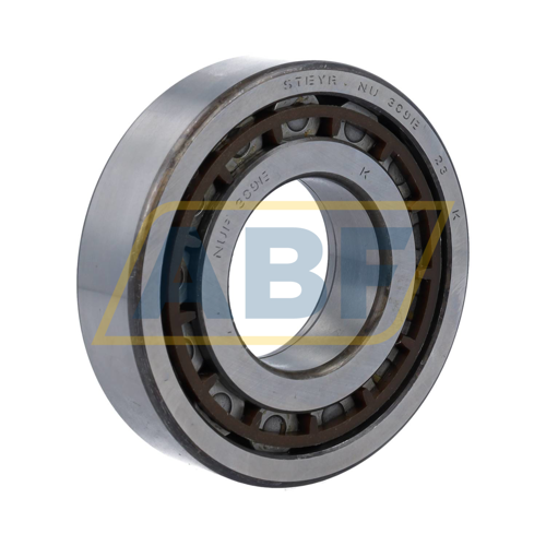 NUP309E TGP1 Steyr