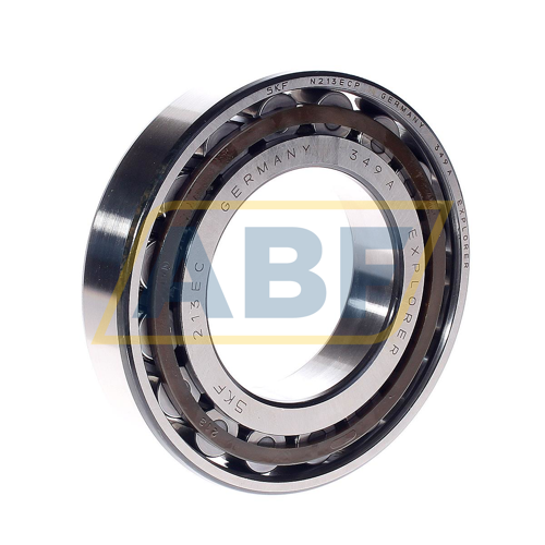 N213ECP SKF