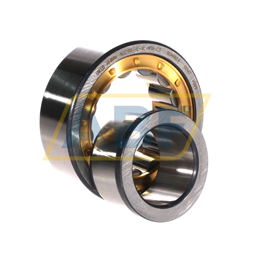 NJ2309-E-XL-M1A-C3 FAG