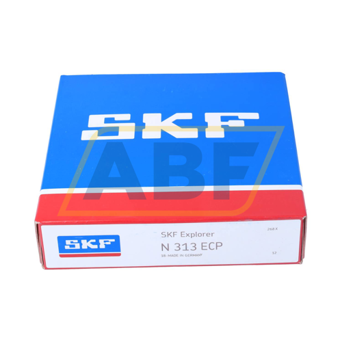 N313ECP SKF