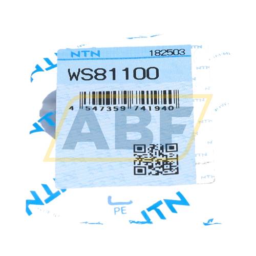 WS81100 NTN