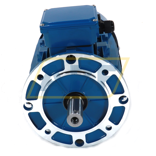 IE1-MSE100L1-4-B5R Cemp