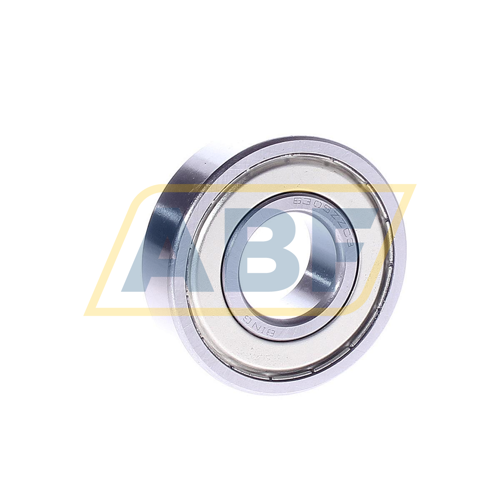 6305ZZ Bing Netherlands