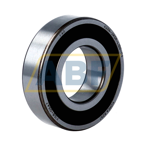 6206-2RSR-L100-C3 FAG