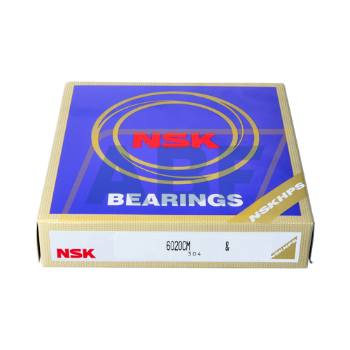 6020CM NSK